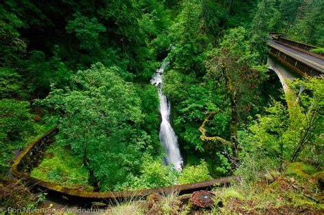 Shepperds Dell waterfall | Photos by Ron Niebrugge