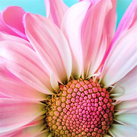 Nagarathar Village Valayapatti