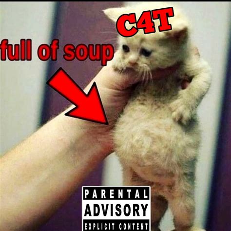 C4T - full of soup : r/fakealbumcovers
