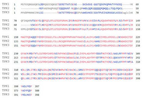Yeast Protein Kinase A Isoforms: A Means of Encoding Specificity in the ...