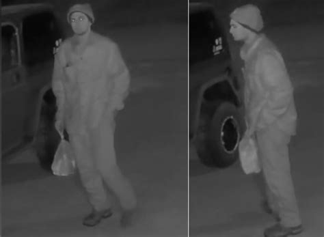 CATCH-A-CROOK: Woman chases after car thief in southern Greene County