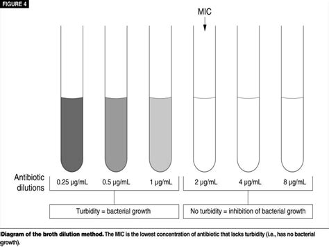 Microbiological culture sensitivity test | PPTX