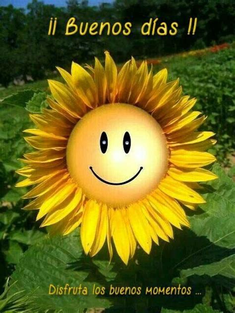 349+ Imágenes de Buenos Días nuevas - HermosasImagenes.net