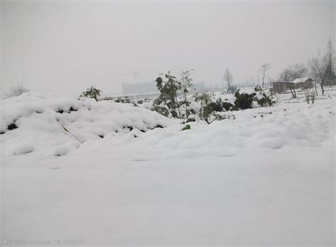 下雪风景图片