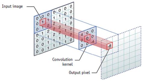 Deep Learning in Selected Cancers’ Image Analysis—A Survey
