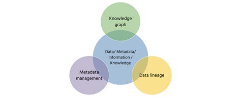 Metadata Knowledge Graph 的图像结果