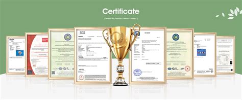 Company Overview - SHENZHEN HUA MEI INDUSTRY DEVELOPMENT LTD.