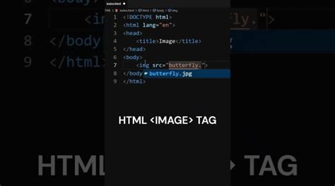 Image result for How to Add Image Code HTML