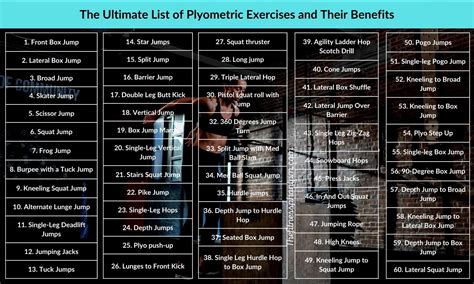 Plyometric Exercise Routine 的图像结果