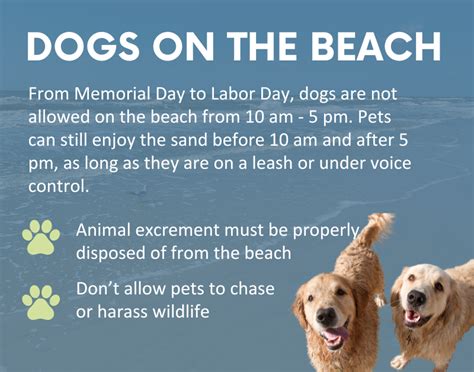 Town News This Week: Budget, Beach Season and More