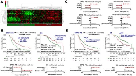 Cancers | Special Issue : Novel Insights into the Molecular Mechanisms ...