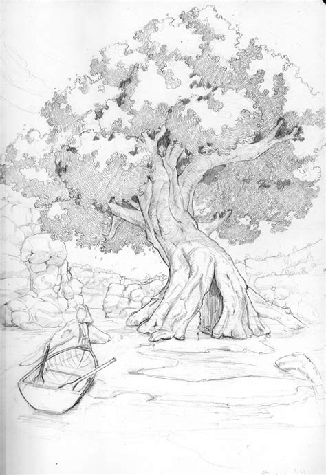 Image result for Realistic Tree Drawing Easy