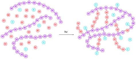 Image result for Polymer Structure Types