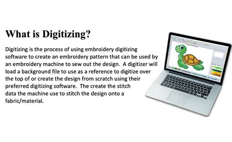 Digitizing Program 的图像结果