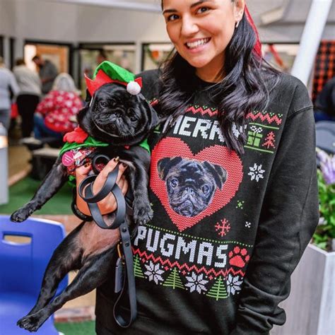 Image result for Ugly Cockapoo