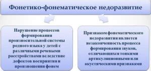 Фонетико-фонематическое недоразвитие речи (ффнр) и фонематическое ...