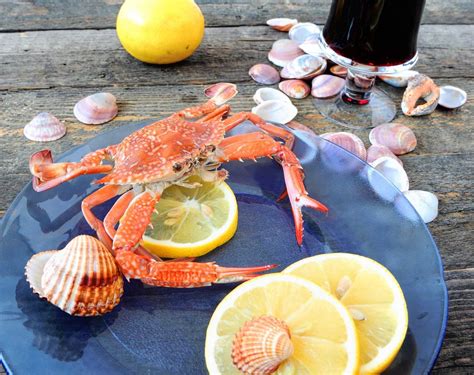 What Do Sand Crabs Eat