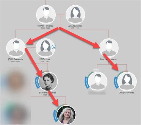 Image result for Ancestry Triangulation