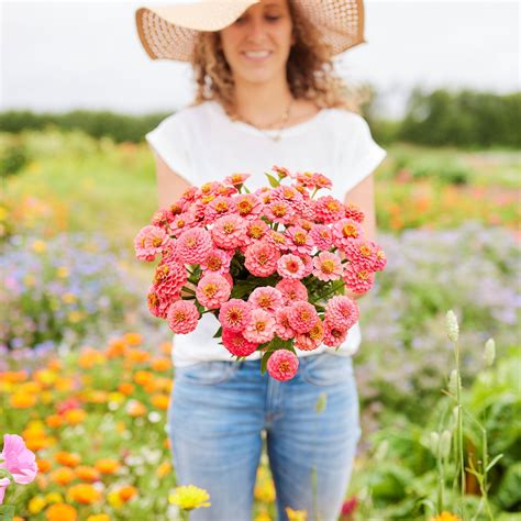 Bulk Zinnia Seeds | Buy in Bulk – Page 3 – Bulk Wildflowers