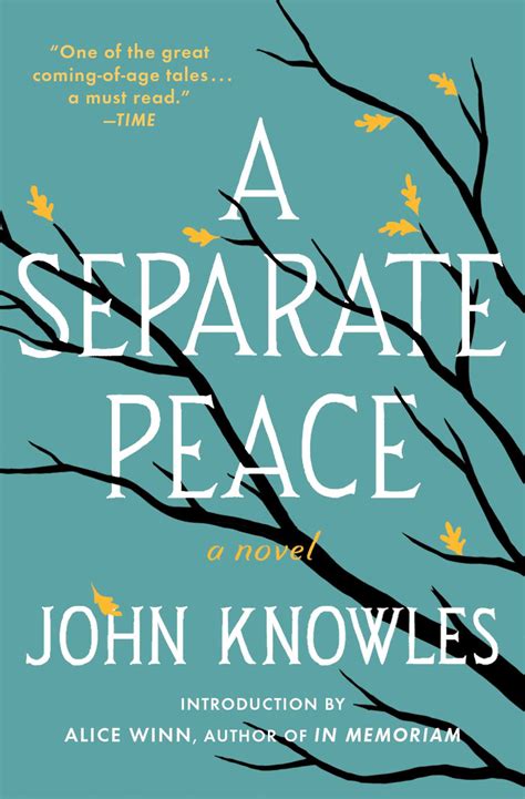 A Separate Peace Sparknotes Chapter 10 - Celera Anda