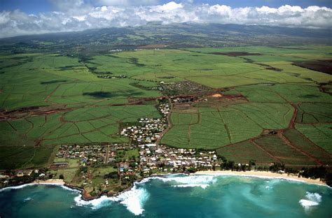 Safeway Kahului Maui Lani at Jake Woolley blog