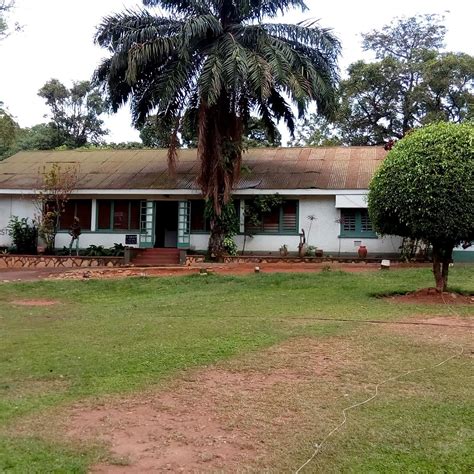 NOMMO GALLERY (2024) All You Need to Know BEFORE You Go (with Photos ...