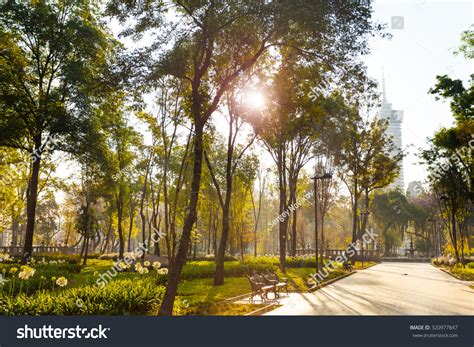 20,267 Mexico city park Images, Stock Photos & Vectors | Shutterstock