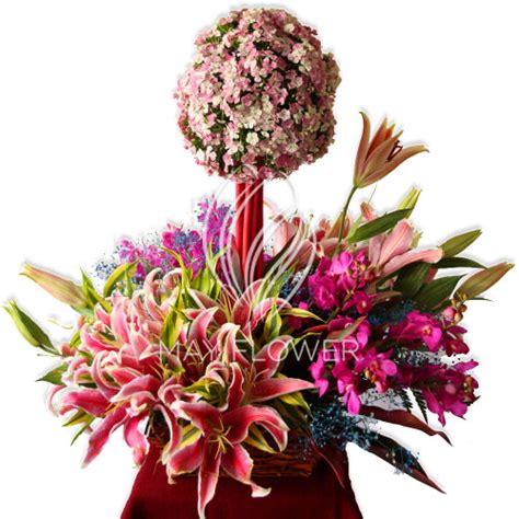 Progressive Pink Florals – May Flower