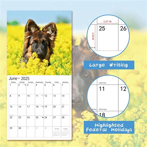 Windrio 2025 Wall Calendar,Calendar 2025, November 2024 - India | Ubuy