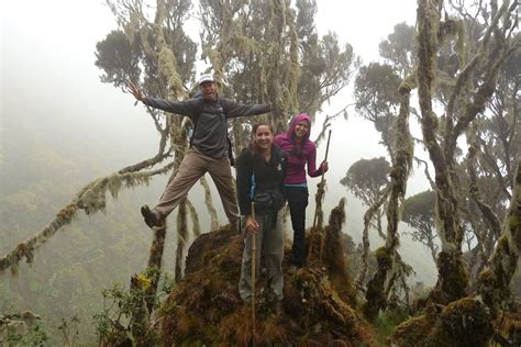 Exclusive Guide for Hiking the Virunga Volcano Mountains Chain