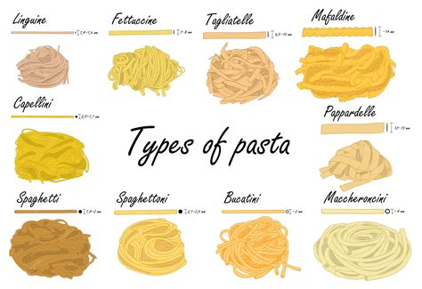 Spaghetti Noodles Difference at Diane Rearick blog