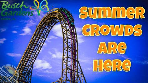Busch Gardens Summer 2022! Wait Times, Crowd Levels & More! - YouTube