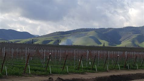 Katy Moore Wines Ltd. | LinkedIn