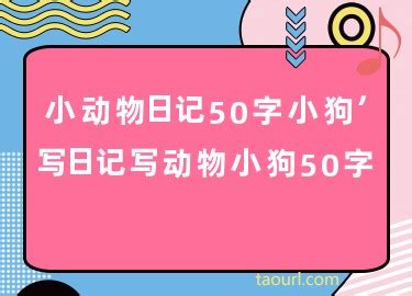 毕业感言文案50字(毕业感言怎么写50字)