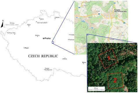 Mapping Forest Structure Using UAS inside Flight Capabilities