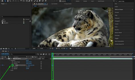 Image result for After Effects Animation MIT Keyframes