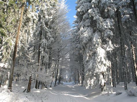 THE 5 BEST Oberursel (Taunus) Sights & Landmarks (w/ Photos)