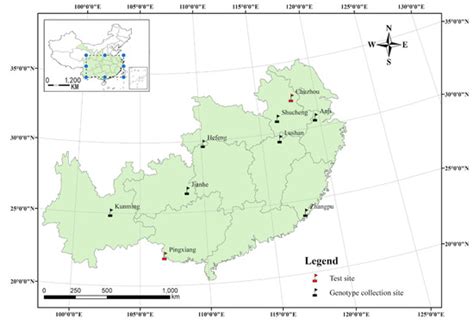 Genotype–Environment Interactions for Tree Growth and Leaf ...
