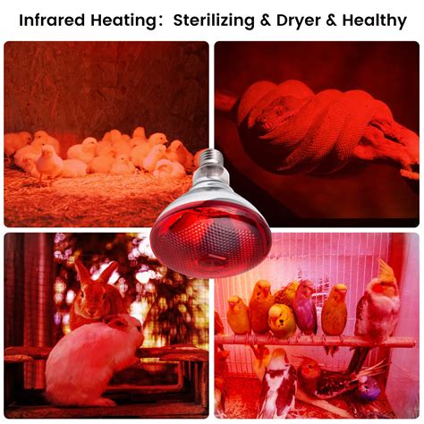Snapklik.com : Heat Lamp For Chickens Coop Brooder And Reptile Heat ...