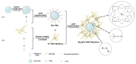 Fluorescent SiO2@Tb3+(PET-TEG)3Phen Hybrids as Nucleating Additive for ...