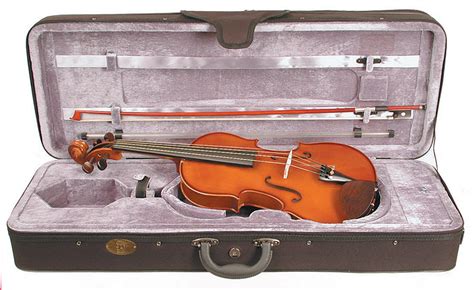 Image result for Viola String Instrument