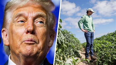 Soybean farmer shares struggles amid Trump's tariffs: 'Everybody is ...