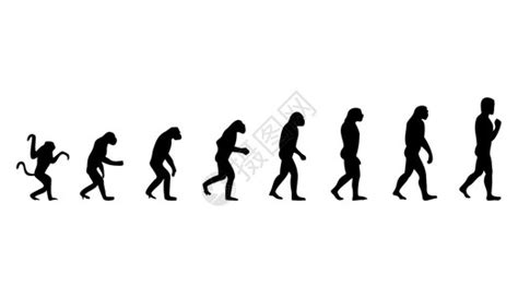 人进化图片_人进化素材_人进化高清图片_摄图网图片下载