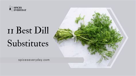 Dill Herb Substitute
