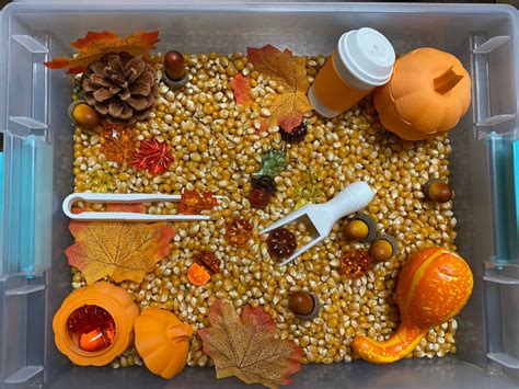 Autumn Harvest Sensory Bin - Montessori Fall Play Kit for Kids ...