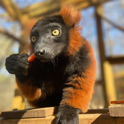 HOURS - Yellow River Wildlife Sanctuary