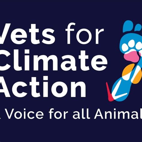 Tutorial Win Vet 的图像结果