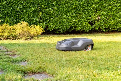 Robot Lawn Mower 的图像结果