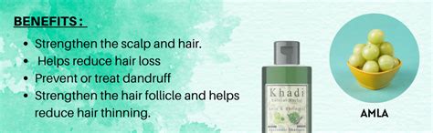 Buy Khadi Natural Herbal Amla Bhringraj Shampoo For Men And Women 200ml ...