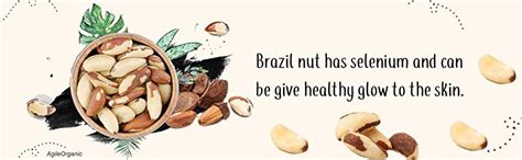 Agile Organic Jumbo Brazil Nuts 500g | Whole, Raw and Unsalted ...